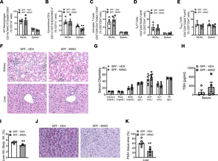 Minocycline does not alter gastrointestinal immunity or cause cytotoxic ...
