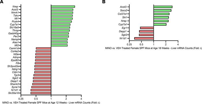Minocycline causes persistent dysregulation of hepatic genes.
Female C57...