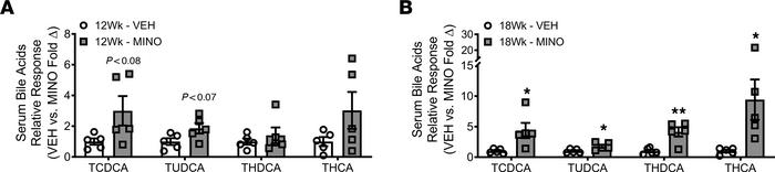 Minocycline upregulates conjugated bile acids in systemic circulation (s...