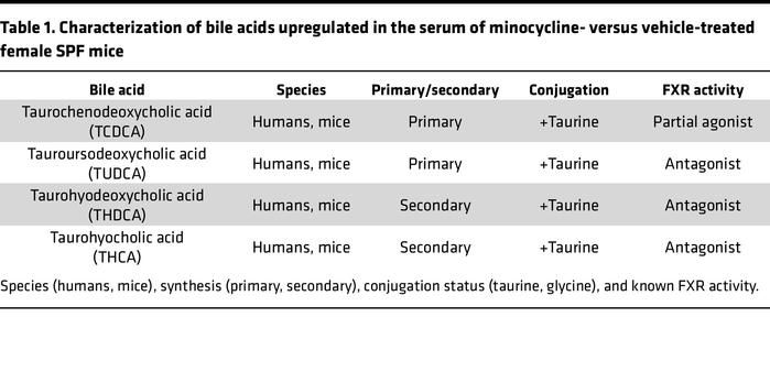 Characterization of bile acids upregulated in the serum of minocycline- ...