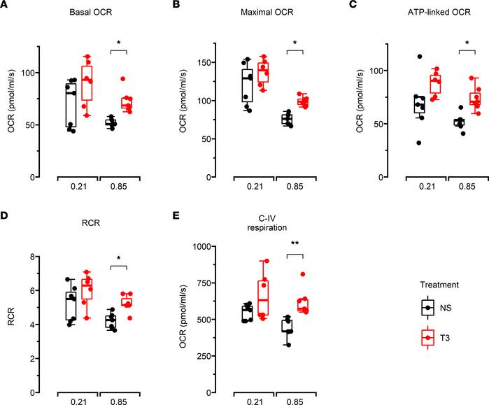 Bioenergetic function and electron transport chain complex activities of...