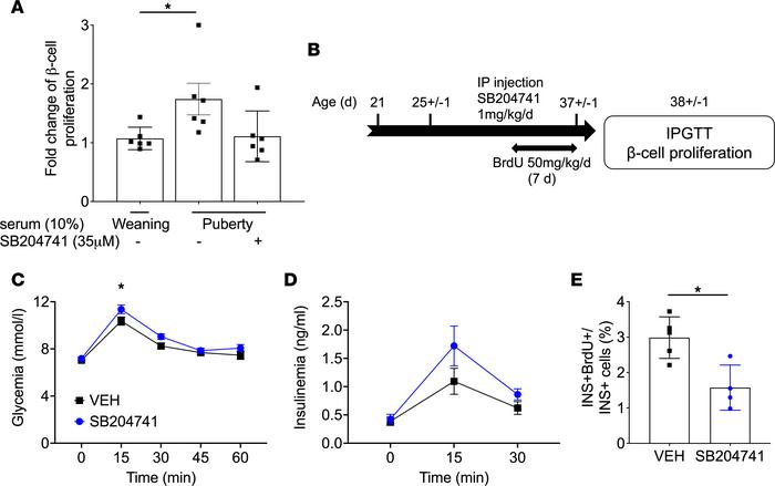 β Cell proliferation during puberty was blocked by HTR2B antagonism in r...