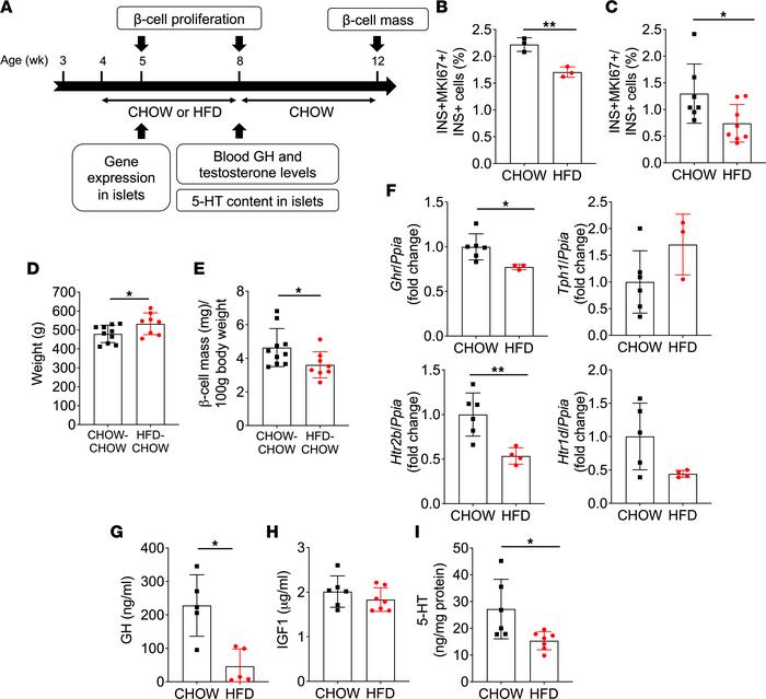 HFD during puberty mitigated β cell proliferation and GH/5-HT pathway ho...