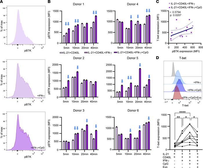BTK activity is associated with IFN-γ– and CpG-mediated T-bet induction ...