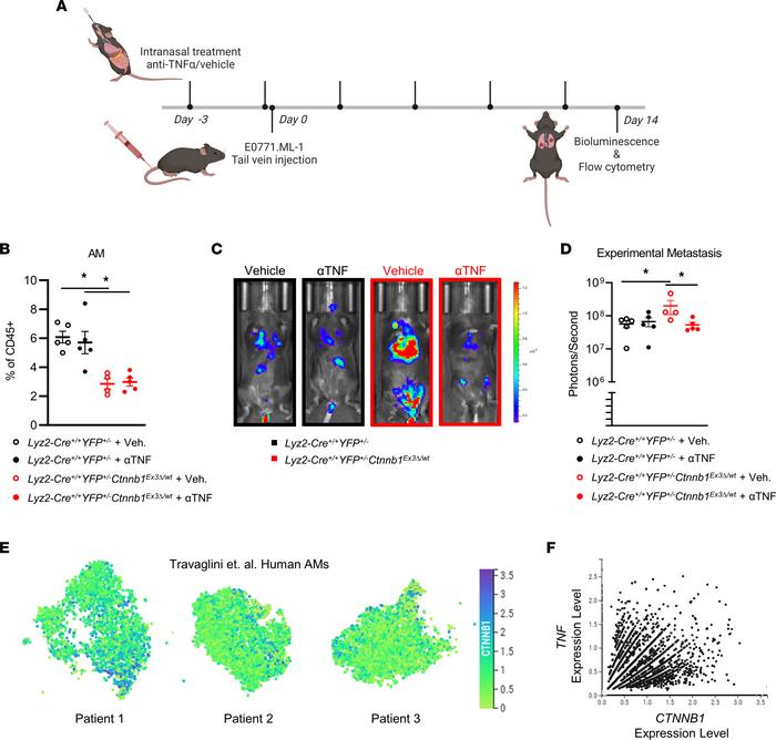 Intranasal delivery of anti–TNF-α neutralizing antibody rescues the pro-...