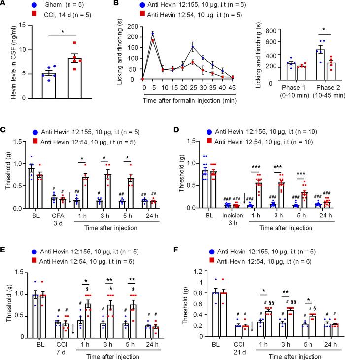 Anti-hevin monoclonal Ab 12:54 reduces inflammatory, postoperative, and ...