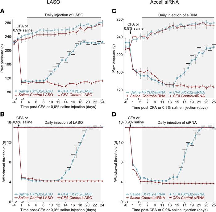 JCI Insight - FXYD2 antisense oligonucleotide provides an efficient ...