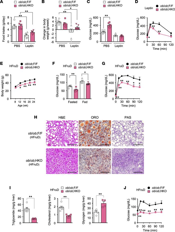 Effects of leptin supplementation and HFruD feeding on the metabolic phe...