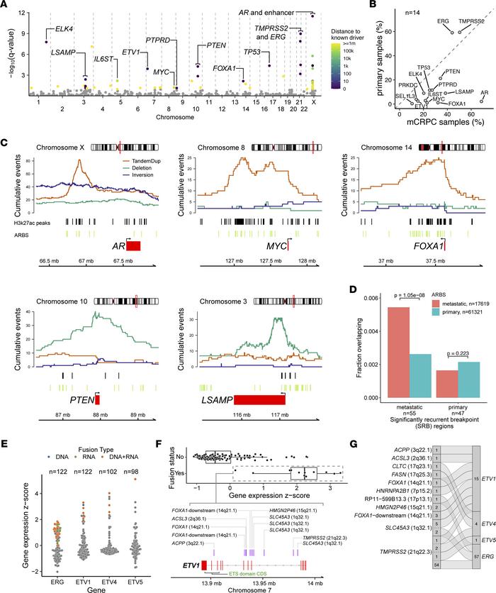 Genome-wide analysis of genomic rearrangements in mCRPC and comparisons ...