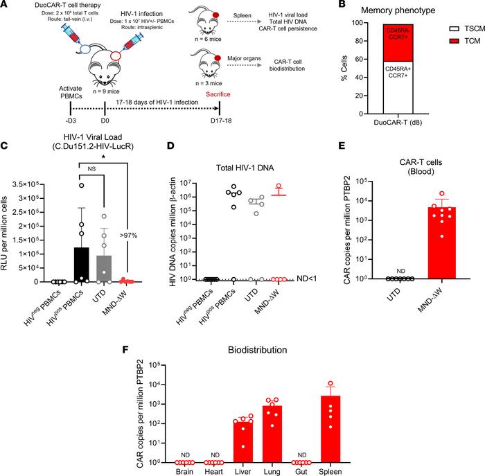 In vivo localization and potent anti-HIV efficacy of i.v.-administered a...