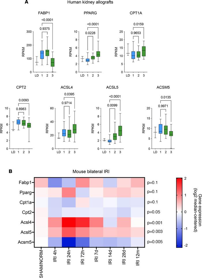 Dysregulation of FA metabolism is a feature of chronic allograft injury....
