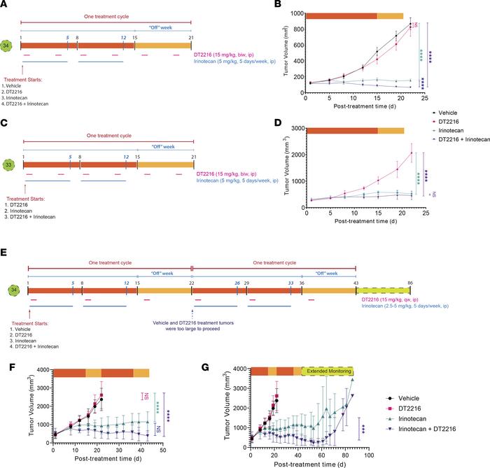 DTT216 administered i.p. twice a week combined with irinotecan.
(A and C...