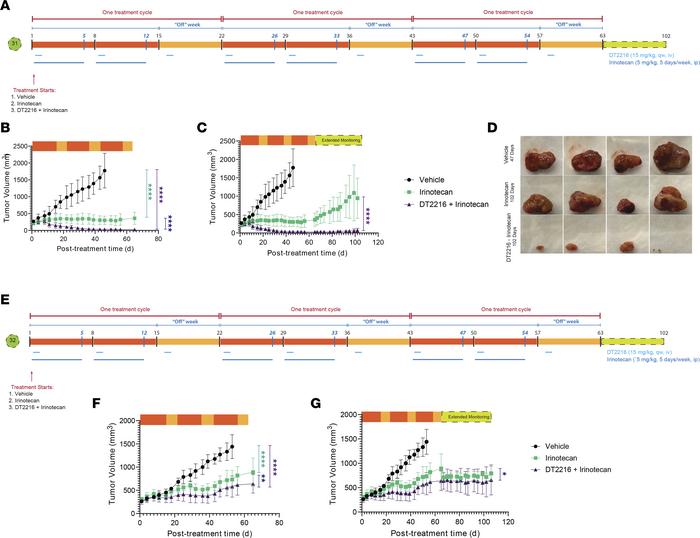 The i.v. formulation of DT2216 synergizes with irinotecan, leading to a ...