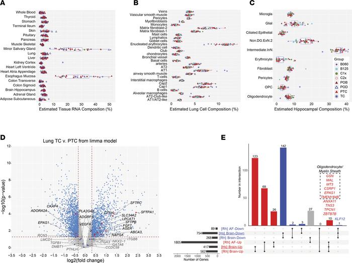 Amniotic fluid reflects tissue- and cell type–specific maturation progra...