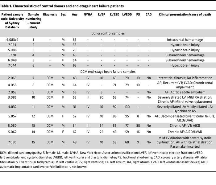Characteristics of control donors and end-stage heart failure patients