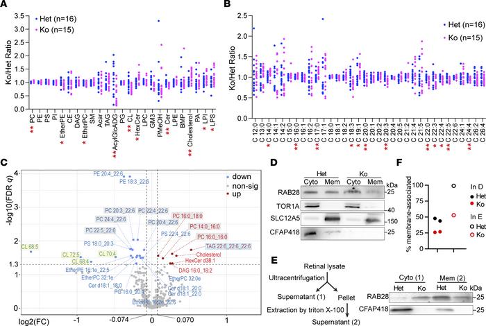Abnormal membrane lipid composition and membrane-protein association in ...