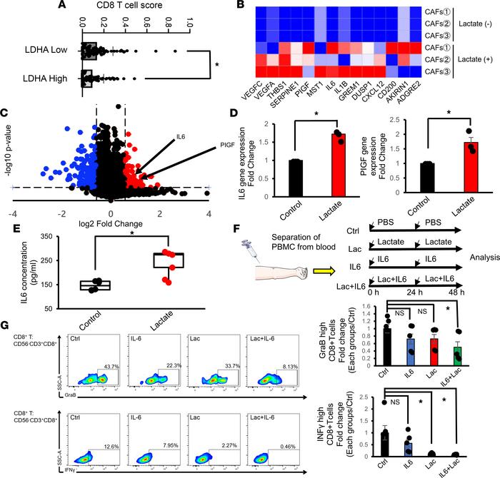 Lactate-stimulated CAFs produce IL-6 and suppress antitumor immunity.
(A...