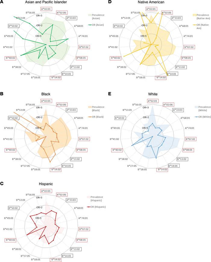 Risk allele contributions to AA and their relative prevalence across pop...