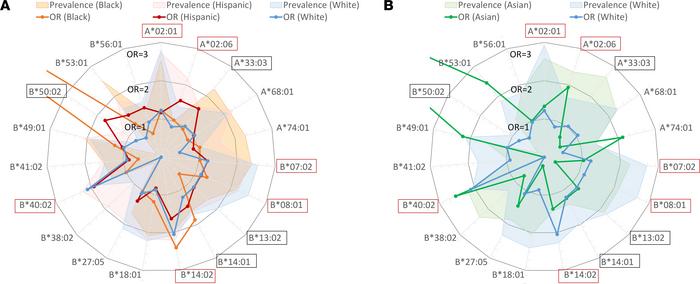 Comparisons of risk allele contributions to AA and their relative preval...