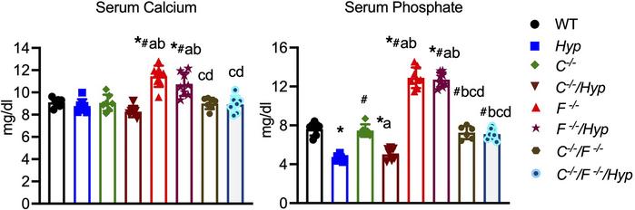 Serum mineral ion levels in mice lacking Cyp27b1, Fgf23, and/or Phex.
Se...