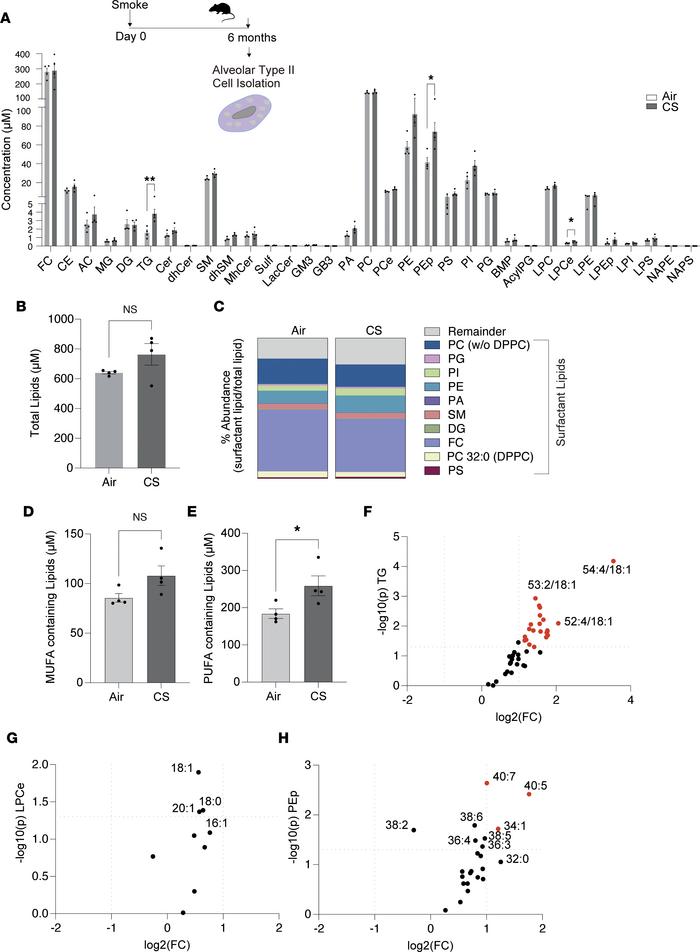 Comprehensive lipidomic analysis of primary AEC2 cells from mice exposed...