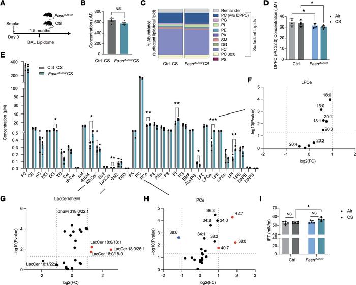 Targeted deletion of FASN in AEC2 cells alters the BALF lipidome and sur...