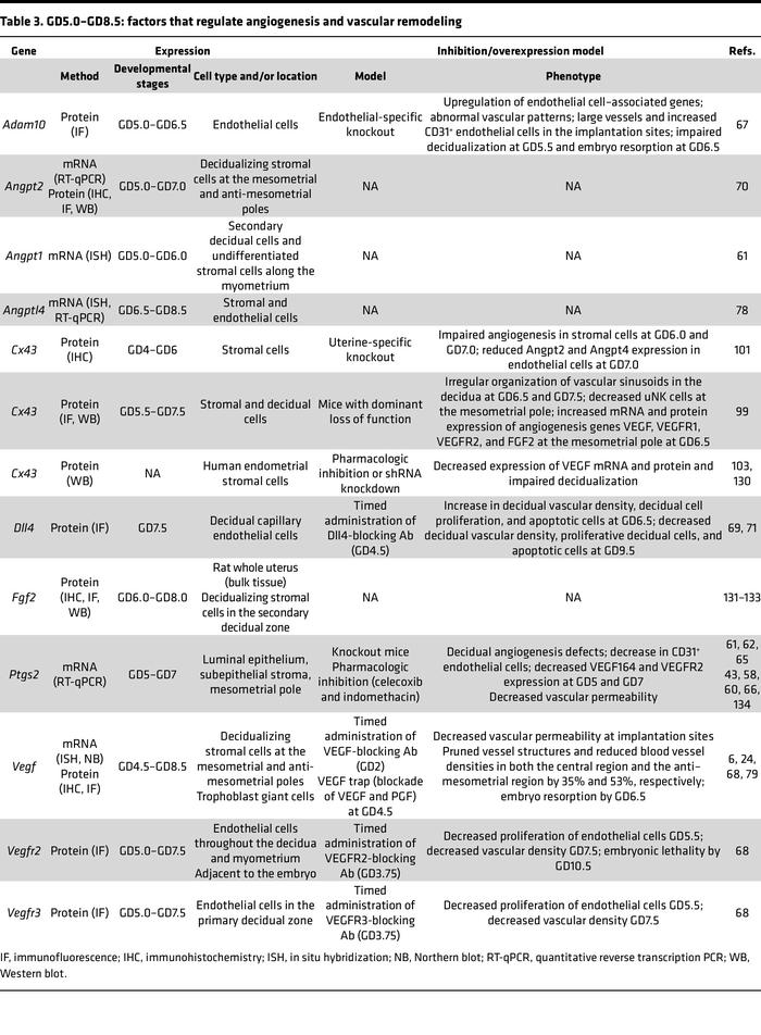 GD5.0–GD8.5: factors that regulate angiogenesis and vascular remodeling