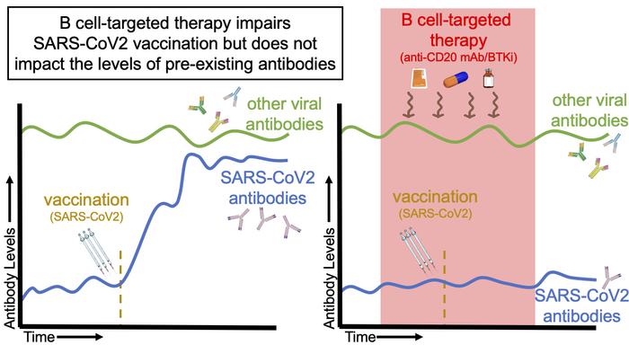 graphical abstract