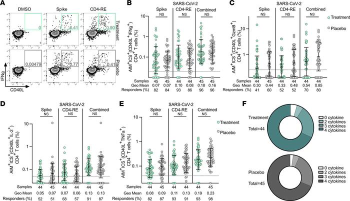 SARS-CoV-2–specific CD4+ T cell functionality is equivalent following tr...