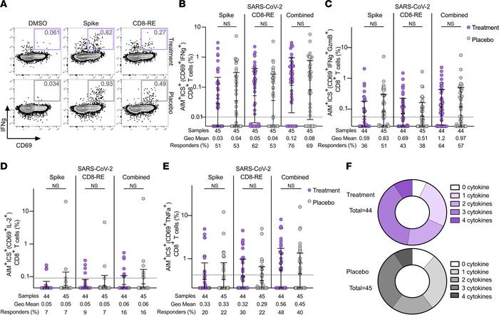 SARS-CoV-2–specific CD8+ T cell responses and functionality are equivale...