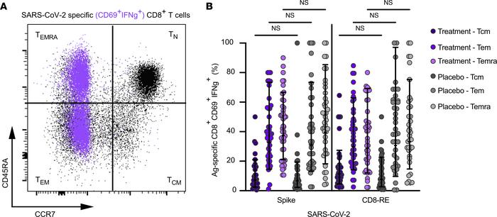 SARS-CoV-2–specific CD8+ memory T cell subsets are equivalent following ...