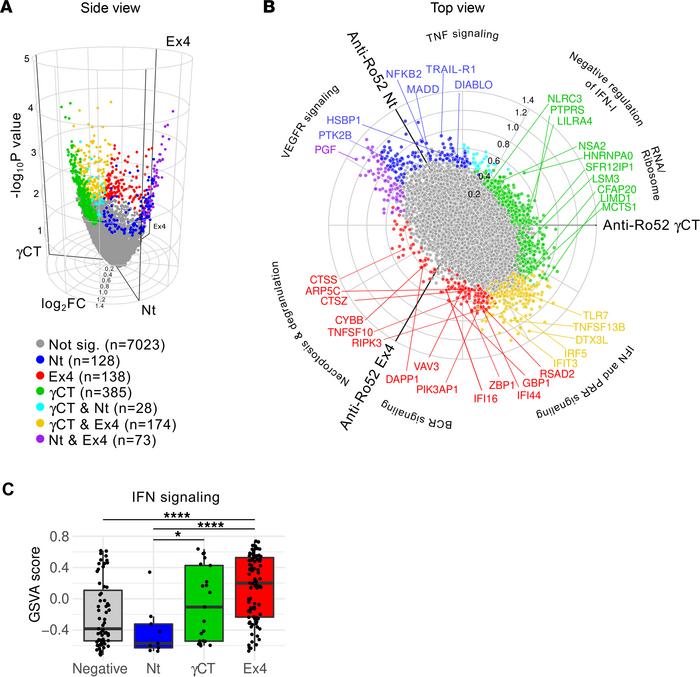 Anti-Ro52 antibody subsets are associated with distinct transcriptional ...