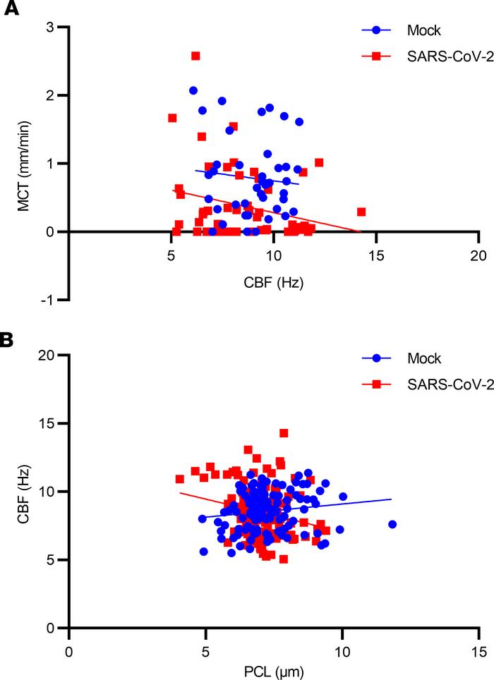 Association of mucociliary clearance functional parameters with delayed ...