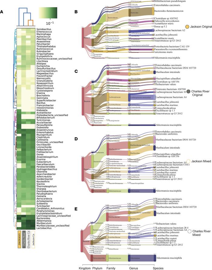 Advanced shotgun metagenomic characterization of gut microbial communiti...