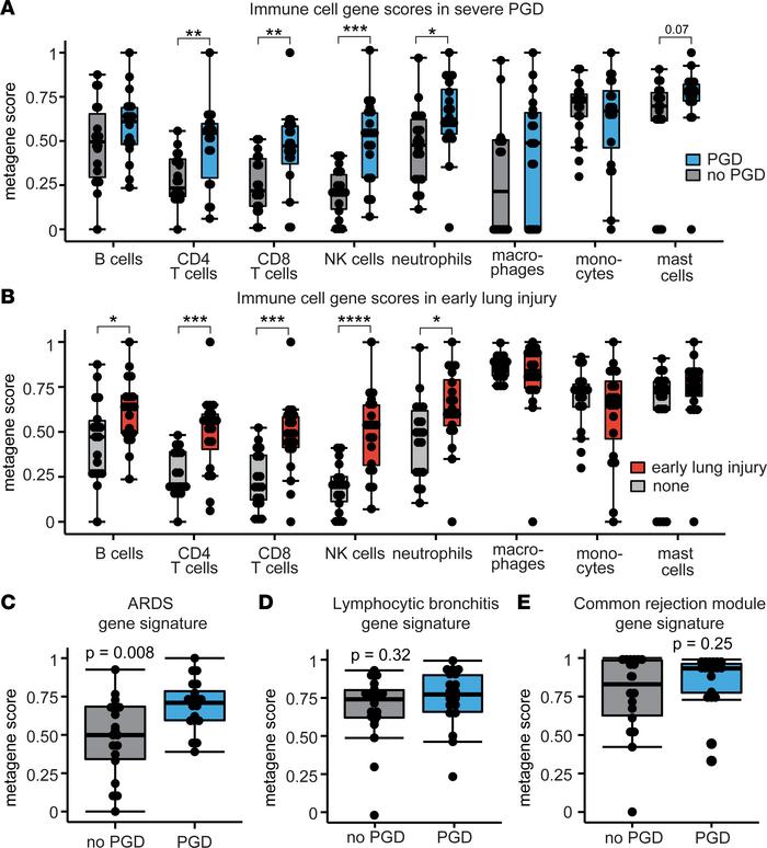 Immune cell and lung inflammation gene expression profiles.
Bronchoalveo...