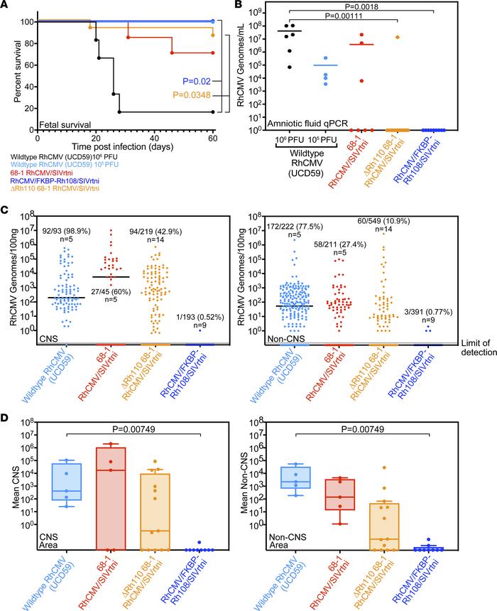 Rh108-deficiency abrogates RhCMV pathogenicity in fetal RMs.
(A) The iso...