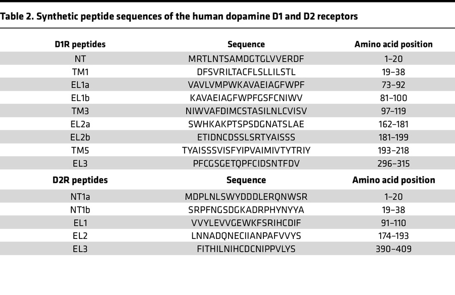 Synthetic peptide sequences of the human dopamine D1 and D2 receptors
