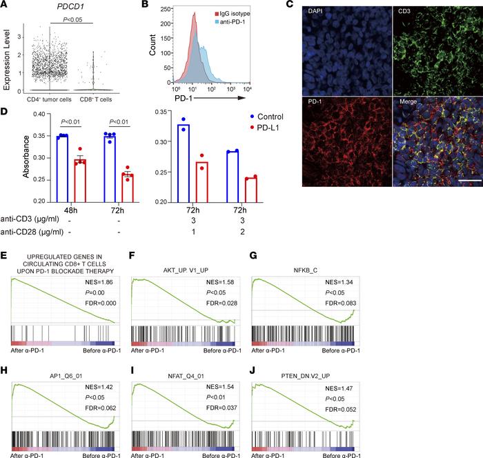 PD-1 signaling inhibited proliferation of malignant T cells.
(A) The vio...