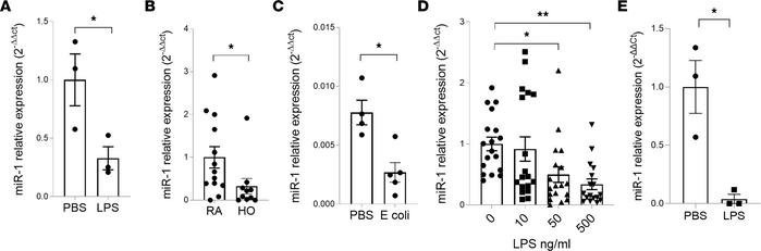 Lung injury downregulates miR-1.
Mouse or human lung tissue were exposed...