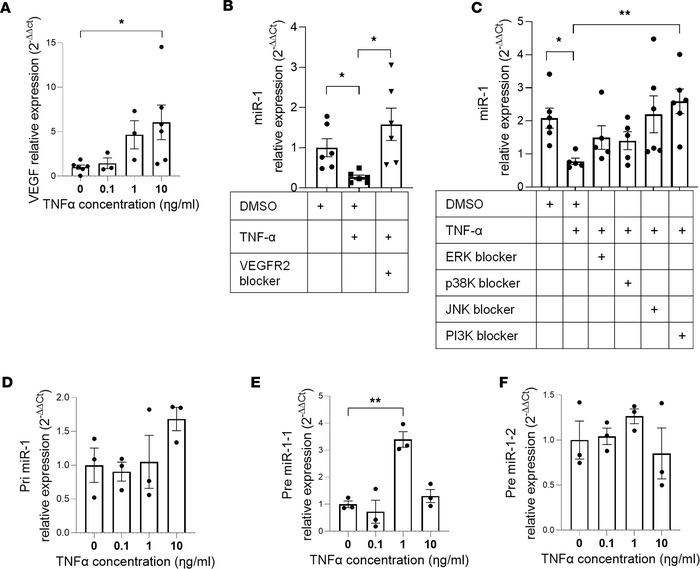 The mechanism of miR-1 downregulation in lung injury.
(A) HPMECs were tr...