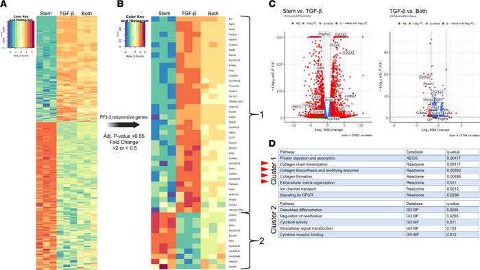 Unbiased RNA-Seq of subcultured AdvSca1-SM cells reveals Brg1 bromodomai...