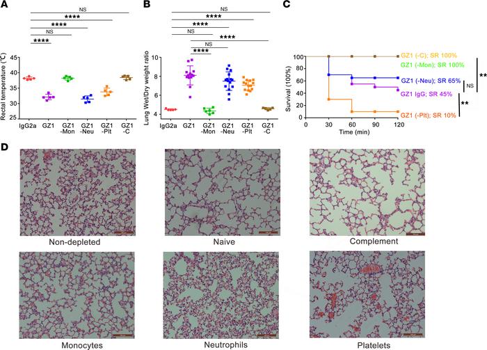 Monocyte depletion and complement depletion protect mice from TRALI indu...