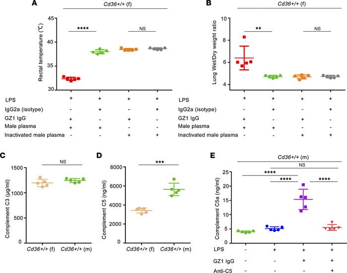 JCI Insight Mechanism and intervention of murine transfusionrelated
