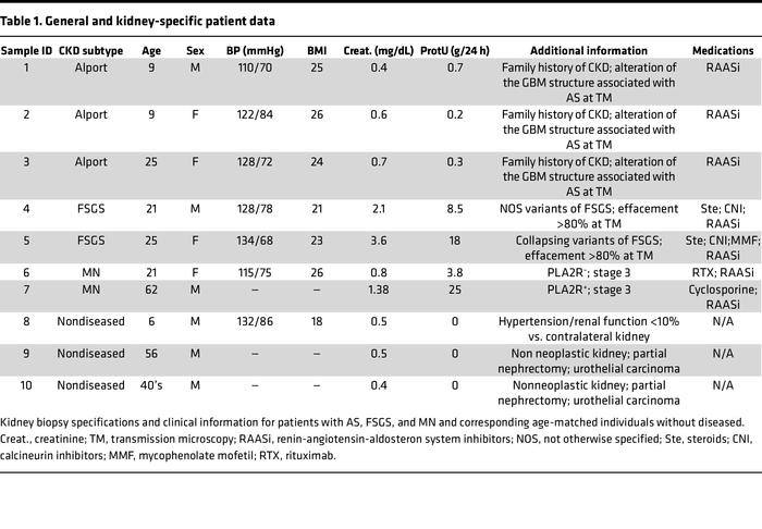 General and kidney-specific patient data