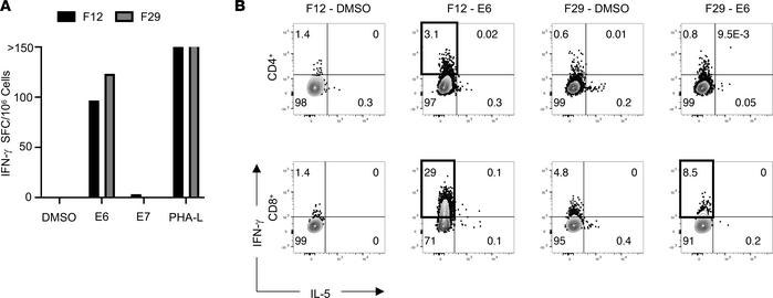 Identification of E6-reactive CD4+ and CD8+ TILs from HPV-16+ HNSCC.
(A)...