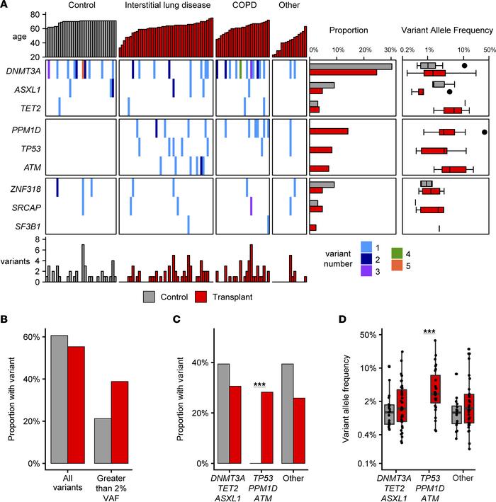 Clonal hematopoiesis in lung transplant recipients.
(A) Somatic variants...