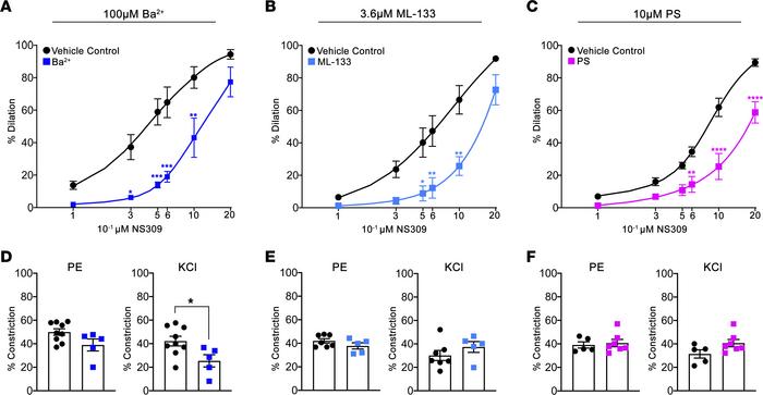Exogenous PS blocks Kir2.1-mediated vasodilation.
(A and B) Dose-respons...