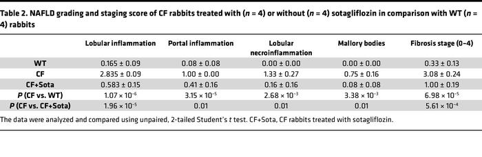 NAFLD grading and staging score of CF rabbits treated with (n = 4) or wi...