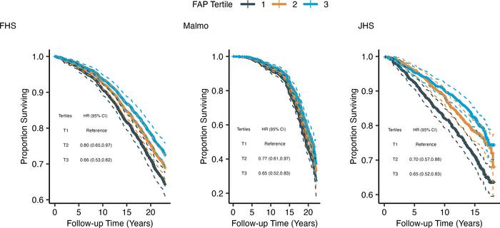 Kaplan–Meier survival analysis according to FAP levels in FHS, MDCS, and...