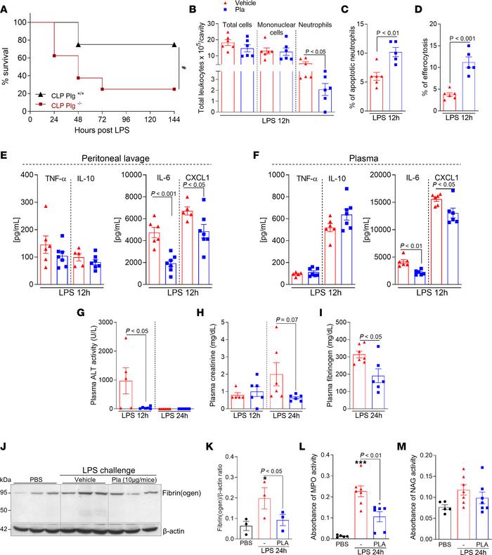 Effect of Plg depletion on lethality and of Pla treatment on inflammator...